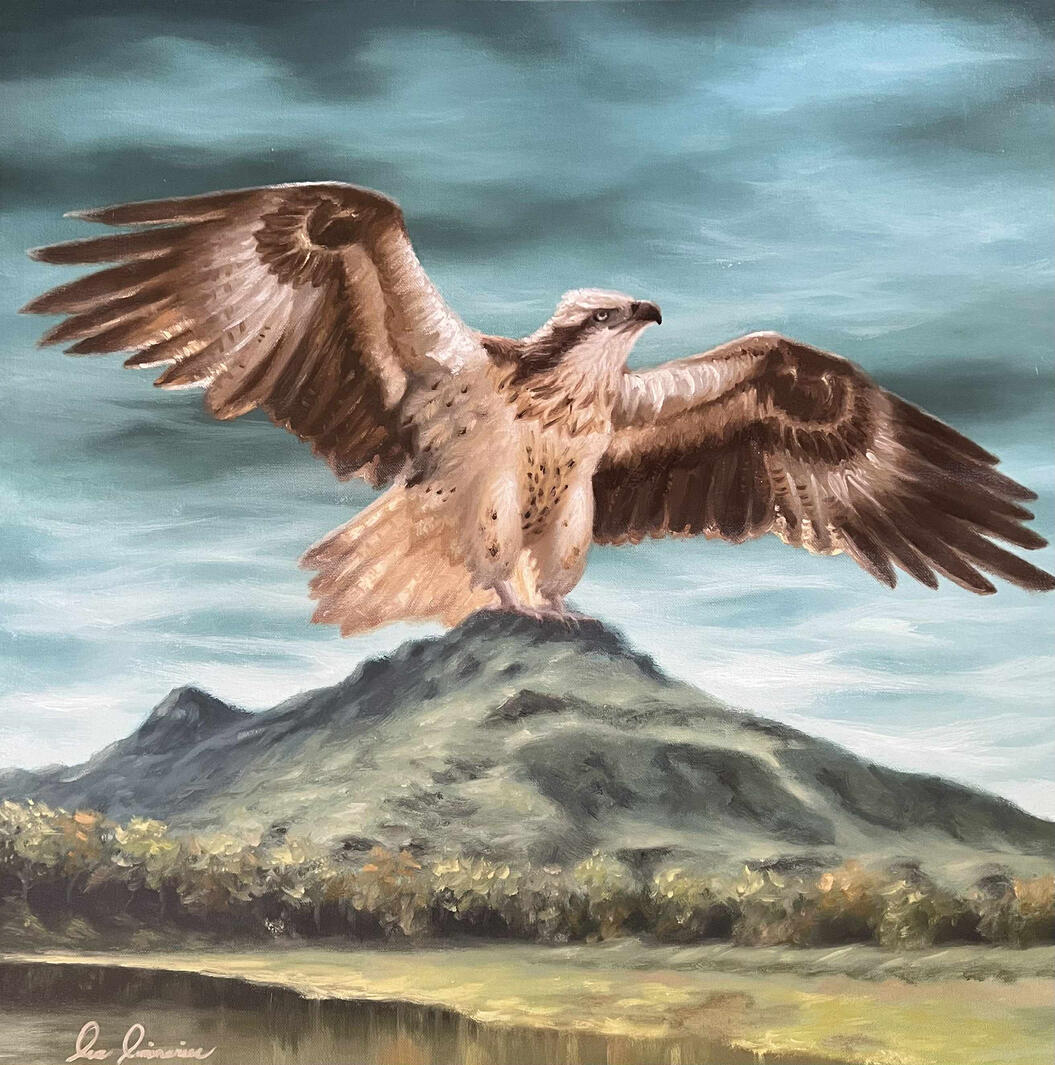 CG Aguila : Mt. Apo's Haribon Sentinel