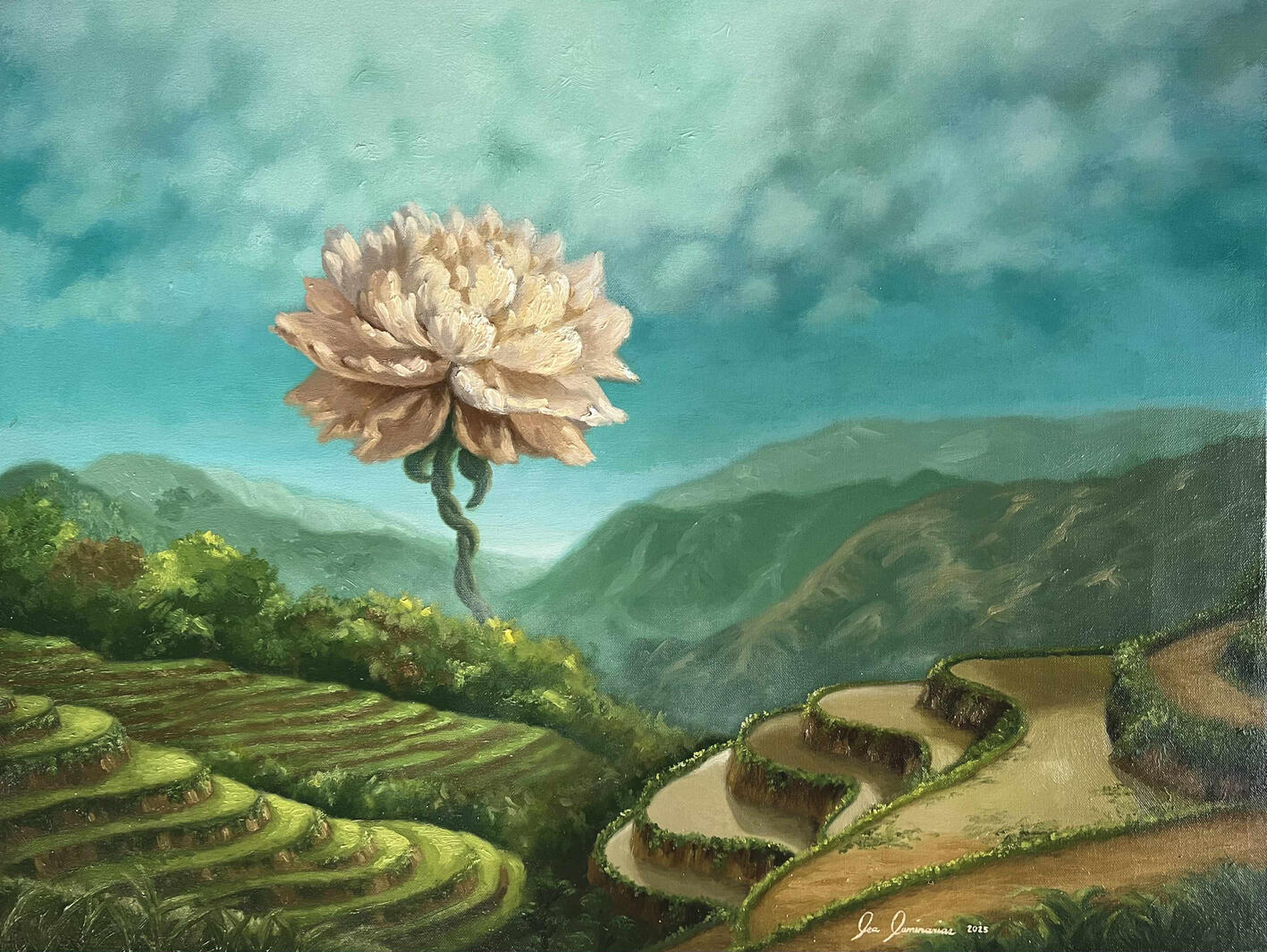 Colossal Blossom Segundo